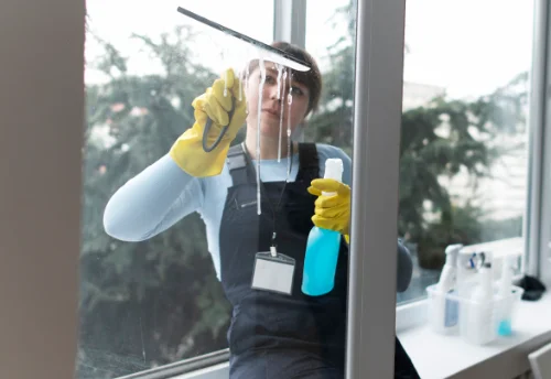 Nettoyage de vitres intérieures et extérieures à Égat